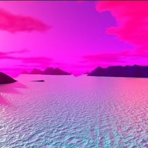 Meet your Posher, Warren